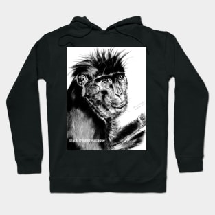 Black crested Macaque (AllansArts) Hoodie